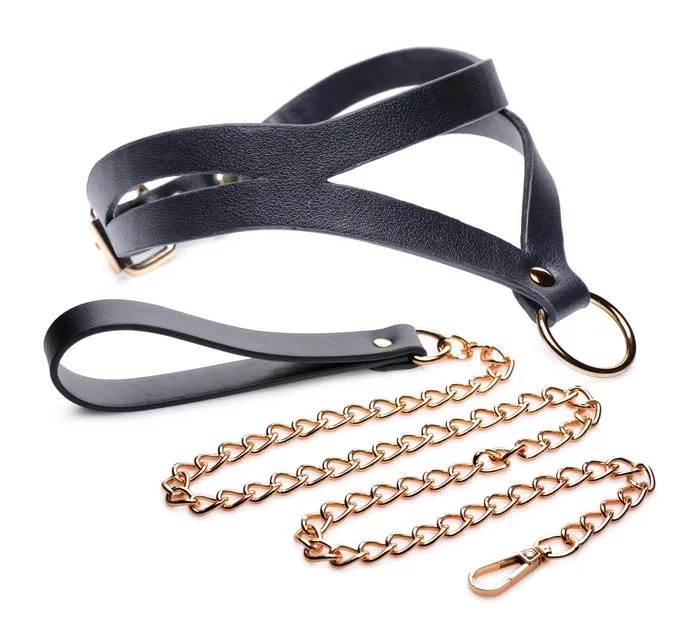 Anal | Master Series Black and Gold Collar with Leash Kit