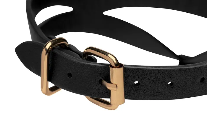 Anal | Master Series Black and Gold Collar with Leash Kit