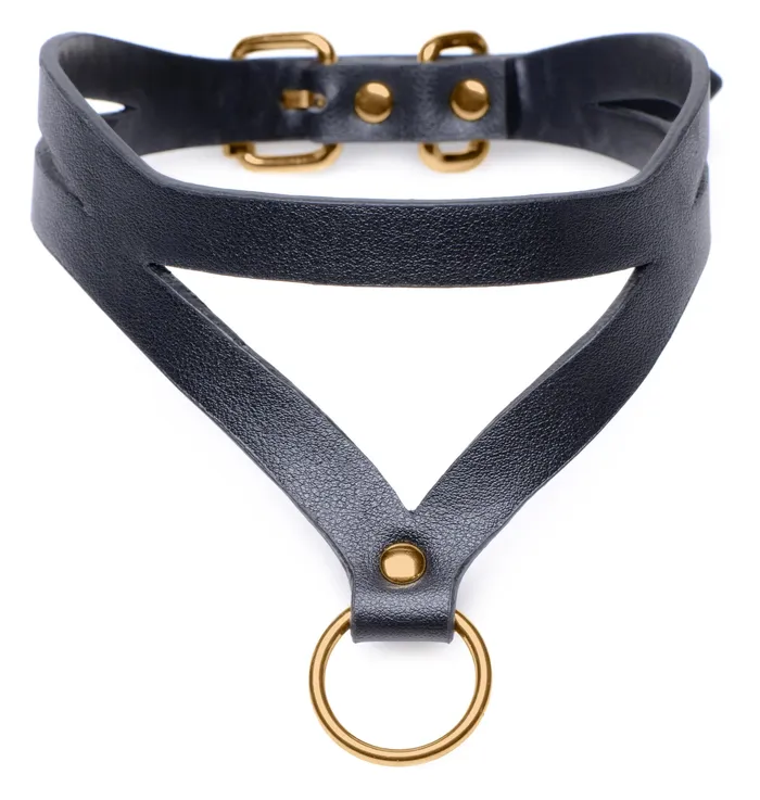 Anal | Master Series Black and Gold Collar with Leash Kit