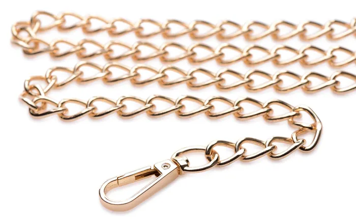Anal | Master Series Black and Gold Collar with Leash Kit
