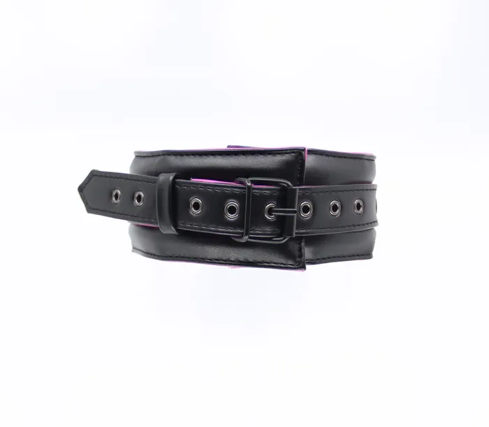 BB Collar and Lead BCOL23 | Love in Leather Vibrators