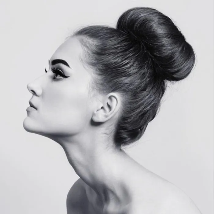 INTRENDZSTORE Vibrators | Women's Hair Bun Maker French Twist Hair Fold Wrap Snap