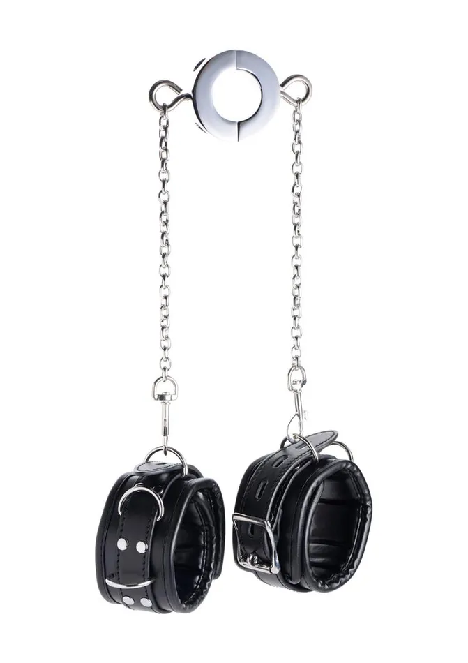 Master Series Male Sex Toys Master Series Hells Tether Ball Stretcher Humbler Master Series Male Sex Toys Master Series Hells Tether Ball Stretcher Humbler