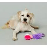 Vibrators | Scruffy Scruffy - Bunny Vanderpup