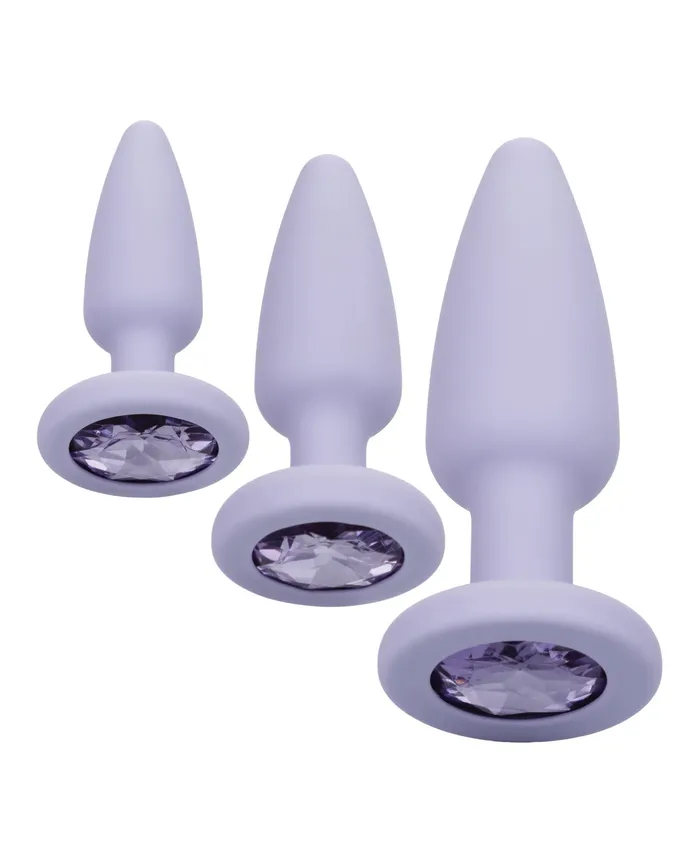 Vibrators | First Time Crystal Booty Kit - Purple - First Time